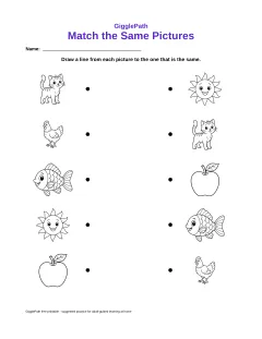 Match the Same Pictures worksheet preview